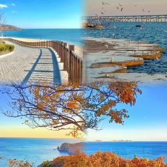 喜鼎海胆水饺(星海湾壹号店) User Photo