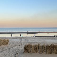 Bar Lotus User Photo