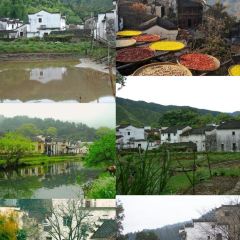 李坑·德馨居农家菜馆 User Photo