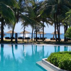 徐福记湛江烤生蚝 User Photo