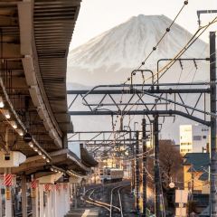 Fujiyama Cookie User Photo