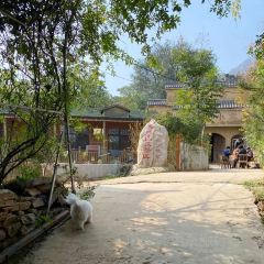 柴家小院 User Photo