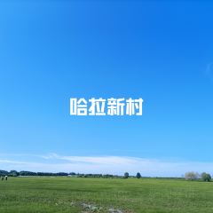 赵兴家大片肉 User Photo