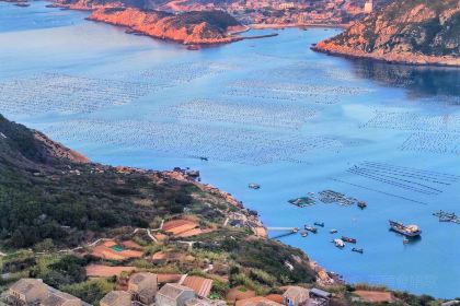 Shitouhuichangge Coffee Shop