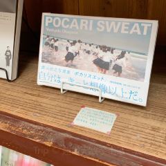 小滿cafe張用戶圖片