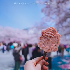 無邪張用戶圖片