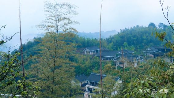 Fawang Temple, Longgua Mountain