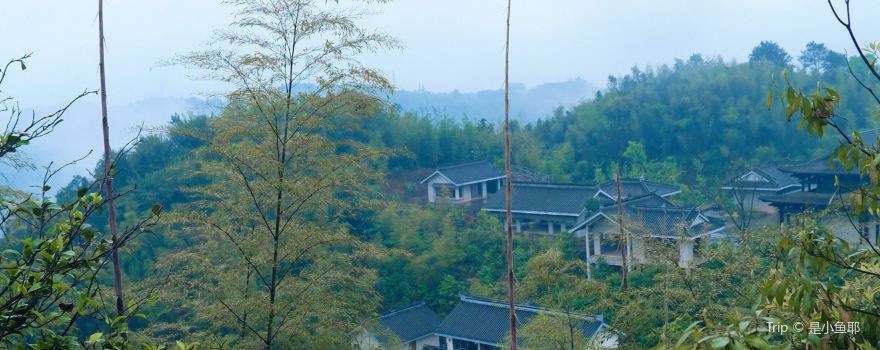 法王寺龍卦山