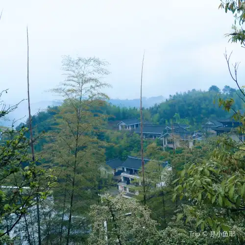 法王寺龍卦山