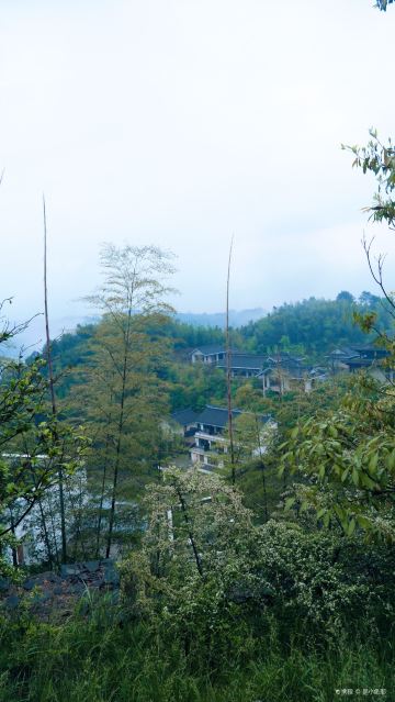 Fawang Temple, Longgua Mountain