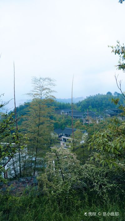 Fawang Temple, Longgua Mountain