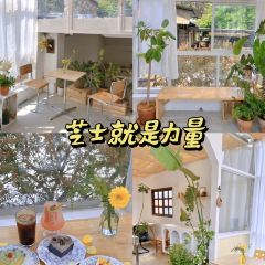芝士就是力量 Cheeseful&Power User Photo