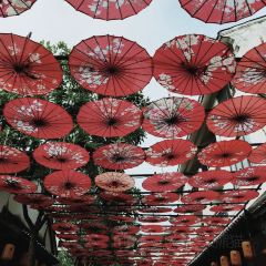 ZHEN YANG FANG User Photo