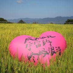 在发呆·lan's浪肆咖啡庄园 User Photo