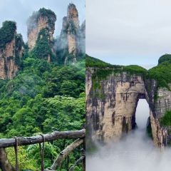 CI LI MI FEN User Photo