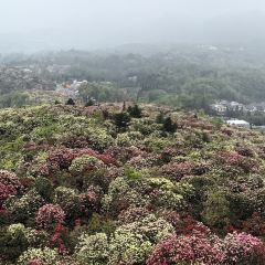 烙鍋小院張用戶圖片