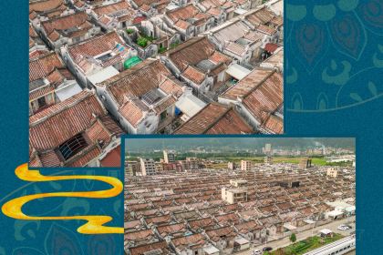 ZHUANG XIONG NIU TU NIU ROU ZONG DIAN LIU SHA FA YUAN ZONG DIAN