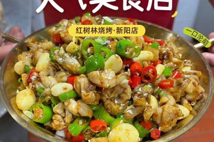 红树林烧烤(新阳店)