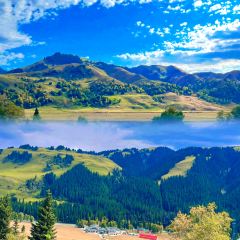 每天春羊羔烤肉店 User Photo