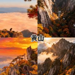 秀嫂挞粿 User Photo