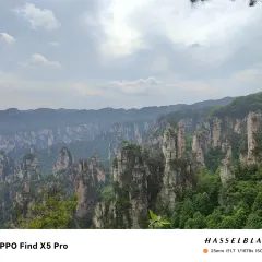 老王三下锅 User Photo