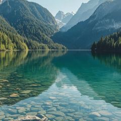 三中高皇羊肉館張用戶圖片