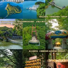 南山一品酒樓張用戶圖片