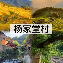 头上红煨盐鸡乡村食府 User Photo