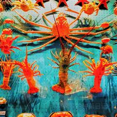 Jinmenzhangjibaozipu (huachangdao) User Photo