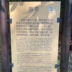 RONG CUISINE 여행 사진