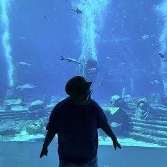 徐福记湛江烤生蚝 User Photo