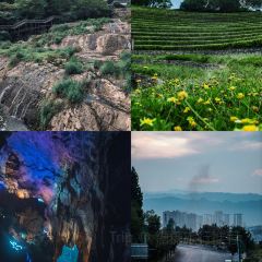 林記豆湯圓子火鍋用戶圖片