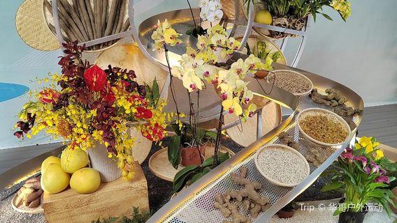 dong nan hua dou hua bo yuan