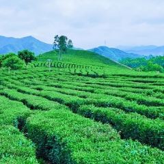 永盛酒樓張用戶圖片