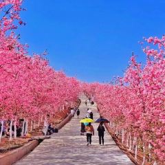 四海烤鸭城 User Photo