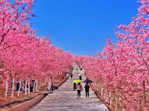 四海烤鸭城