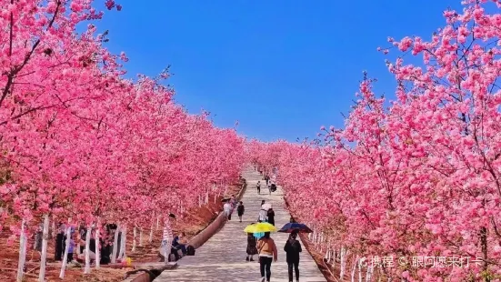 四海烤鸭城