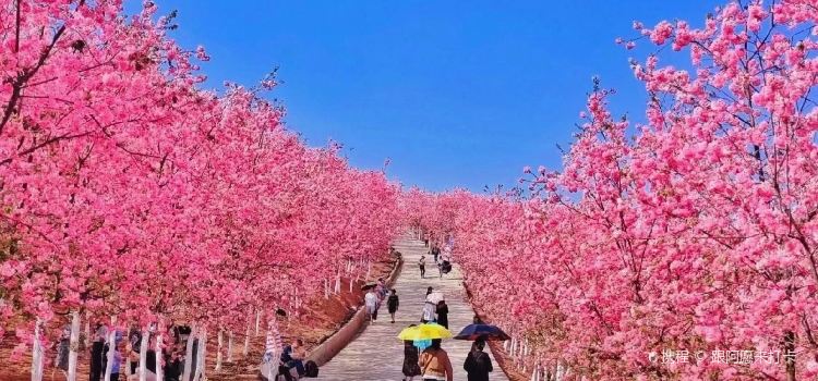 四海烤鸭城