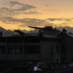 九号咖啡 User Photo