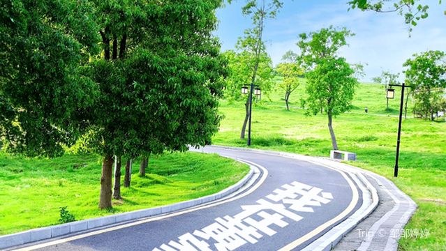 Huangjia Lake Ecological Wetland Park