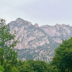 高玮削面馆 User Photo