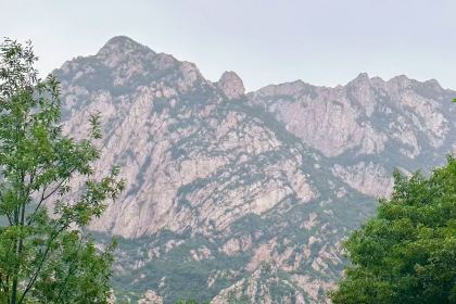 高玮削面馆