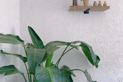 歸秐輕食·簡餐