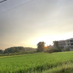 桃花早餐店張用戶圖片