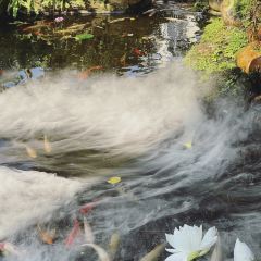 chill cafe User Photo