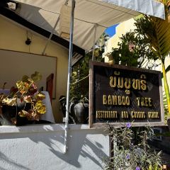 Bamboo Tree Authentic Lao Cuisine Restaurant and cooking school User Photo