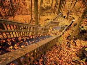 Rockwood Conservation Area