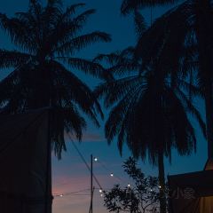 Dai Tao Lala Pot User Photo