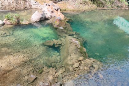 客家牛肉馆(东街口店)