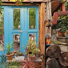 Mala's Garden User Photo